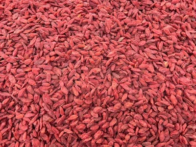 Bright red botanical berries, part of the traditional blood-sugar-wellness botanicals in the blend